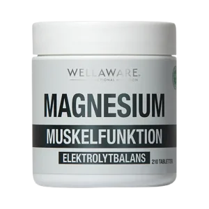 WELLAWARE Magnesium – 210 minitabletter