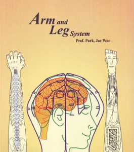 Arm and Leg System